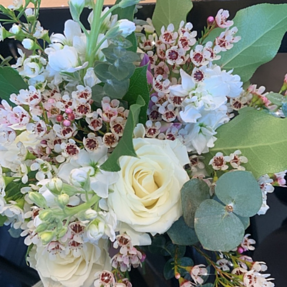 Meet your Posher, Evelyn